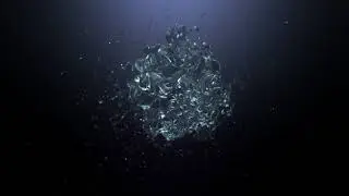 Liquid Splash Logo Reveal II | After Effects Template | Logo Stings