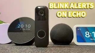 How to use Blink Doorbell with Amazon Echo Devices