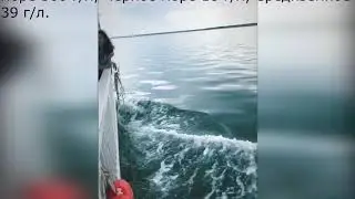 Озеро Яровое. Алтайский край. Заграница не сравнится.