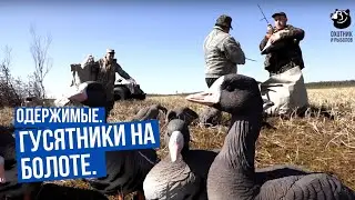Гусятники на болоте \ Одержимые