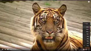 How To Fix Not Showing 4K Resolution On Youtube (Firefox)