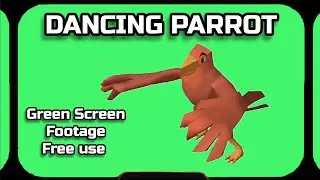 DANCING PARROT video green screen. Footage animation of the GREEN SCREEN.