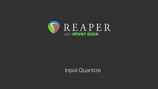 Input Quantize in REAPER