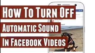 How to Turn Off Sound in Facebook Video Autoplay