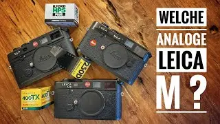 Welche analoge Leica M ?
