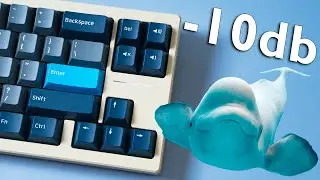 Whale PBT Keycaps FIRST LOOK 