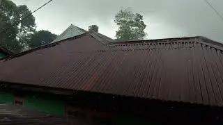 🔴 Rain on a Tin Roof for Sleeping , Deep Sleep with Heavy Rain & Thunder on Metal Roof at Night