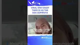 Viral WNI Bingung Manggil Taksi di Amerika Serikat, Bukan Tak Ada yang Ambil, Tapi Tak Ada Sopirnya