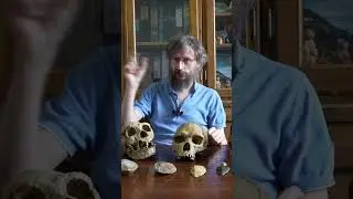 Что скрывают антропологи? Как определяют датировку – Станислав Дробышевский 