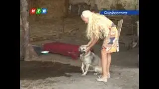 Человеческая жестокость!