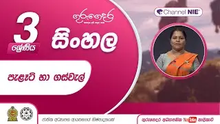 පැළෑටි හා ගස්වැල්  -03 ශ්‍රේණිය  (සිංහල)