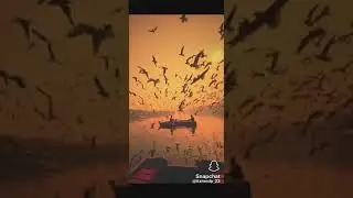 Snapchat spotlight plz support me  #snapchat #snapchatspotlight #birds#lovebirds
