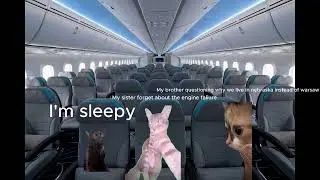 Cat meme airport trip gone wrong! (kinda)