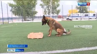 Йӗрке хуралӗнчи тӑватӑ ураллӑ туссем