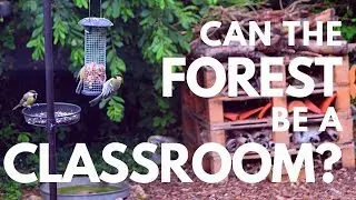 Can the forest be a classroom?