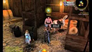 Neverwinter Online    обзор квеста