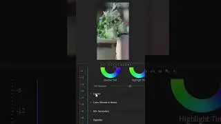 Master Premiere Pro Color Grading in Just 60 Seconds! #shorts #premierepro #editingtutorial