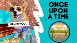 Talking Dog Goes to HOLLYWOOD! 