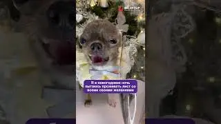 Опасно ли есть сожженную бумагу? Читайте в описании ответ врача 