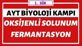 Enerji Dönüşümleri - Oksijenli solunum - Fermantasyon | AYT BİYOLOJİ KAMPI | 1.gün |