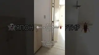 УЖАСЫ ЯПОНСКИХ КВАРТИР 🪳часть 1 