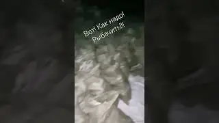 Вот это рыбалка!!! Зимняя рыбалка!