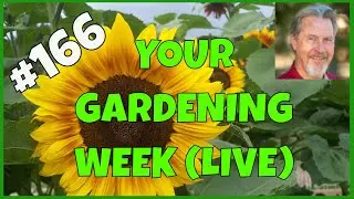 Your Top Gardening Questions Answered (Q&A)