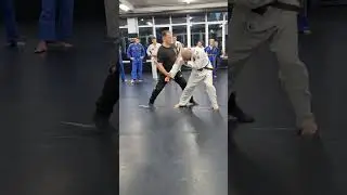 Seminar by Vlad Shypinskyi. Self-defense techniques Combat Ju-Jutsu in the Carpathians 2024. Video 9