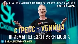 В гостях у Ольги Копыловой биотехнолог, проф. Сколтеха ДМИТРИЙ КУЛИШ