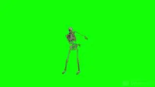 Human Skeleton Dancing on Green Screen animation