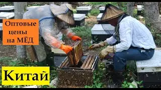Wholesale prices for honey in China and the reasons for the rise in prices