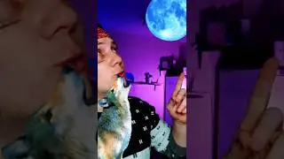 3 Факта Которые Оказались Ложью #shorts