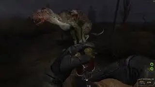 S.T.A.L.K.E.R. Prosectors Project v1.7 # Часть 9.Жара на Болотах.