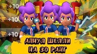 АПНУЛ ШЕЛЛИ НА 30 РАНГ В СОЛО ШД || АПНУЛ ШЕЛЛИ НА 1000 В СОЛО ШД || ШЕЛЛИ НА 30 РАНГ