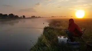 Ловим Леща на Днепре. Рыбалка с Ночёвкой. Поклёвки Крупным Планом. Фидер на Днепре. Лещ на Фидер.