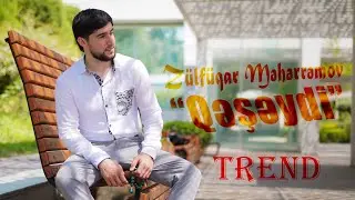 Zulfuqar Meherremov - Qeseydi 2024 (Official Klip)
