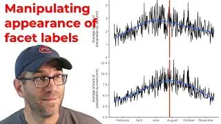 Stylizing the appearance of facet labels with ggplot2's facet_wrap (CC236)