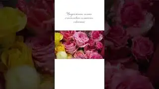 Выписка из Екатерининского роддома Краснодар