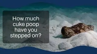 How much cuke poop have you stepped on?