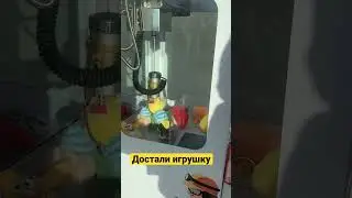 Удалось выиграть в автомате с игрушками