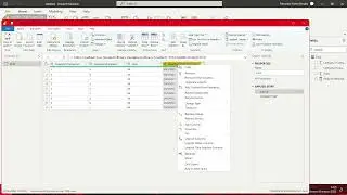 How to change the locale of a specific column in Power BI