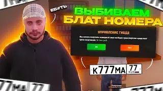 ВЫБИЛ БЛАТ НОМЕРА НА AMAZING ONLINE! НОМЕРА ПОСЛЕ ОБНОВЛЕНИЯ!