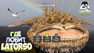 Русская рыбалка 4. 🎣🦈 Норвежское море 👾💦 ГДЕ ЛОВИТ LATORSO 👀