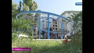 Парки и тренажеры рядом с домом: о чем болит душа у москвича - Россия Сегодня