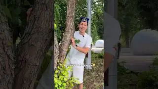Татарский каламбур 😂🔞 тг: Ильнариус  Татариус  