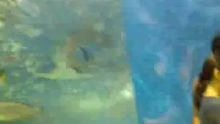 Manila Ocean Park