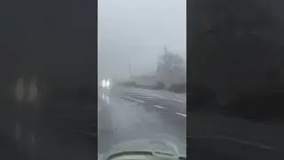 Another foggy day in Ballarat #weather #foryou #shorts #ytshorts #trending