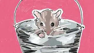 You Are Into Mousetrap YouTube
