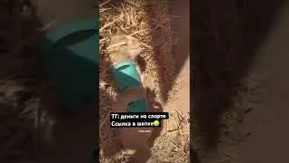 🤣🤣🤣🤣🤣🤣
