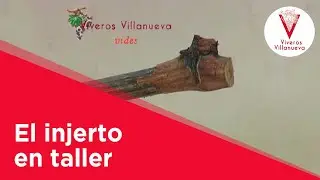 el injerto en taller